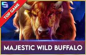 Majestic Wild Buffalo